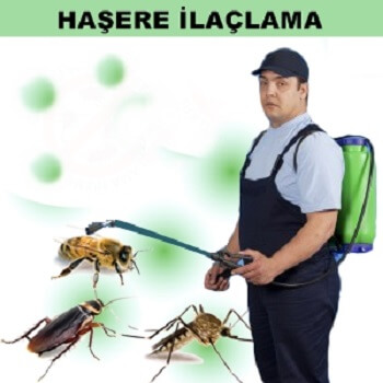 Kurşunlu Böcek İlaçlama
